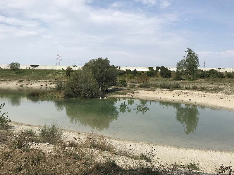 Hundesee in München-Untermenzing (Bayern)