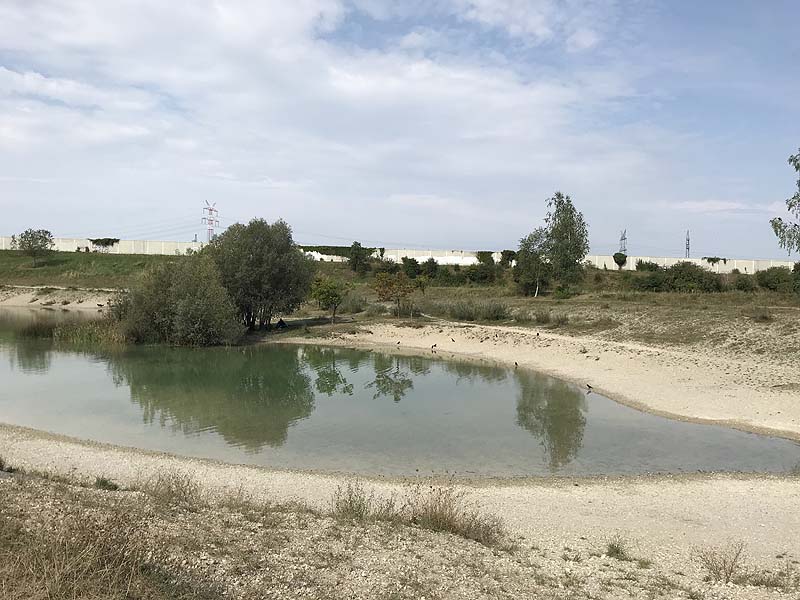 Hundesee in München-Untermenzing (Bayern)