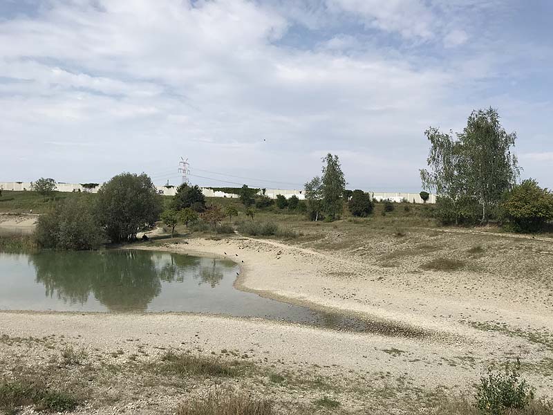 Hundesee in München-Untermenzing (Bayern)