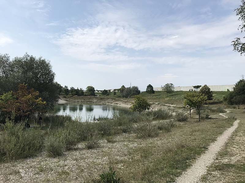 Hundesee in München-Untermenzing (Bayern)