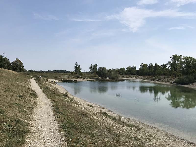 Hundesee in München-Untermenzing (Bayern)