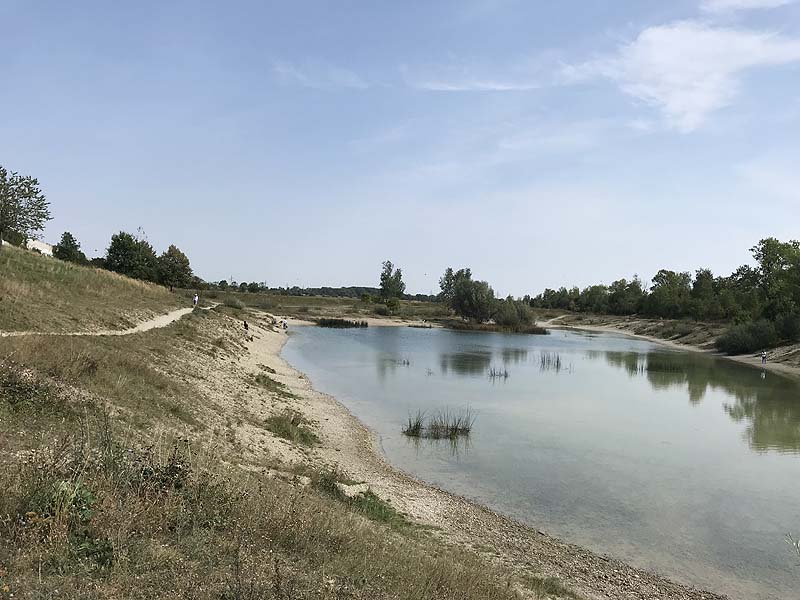 Hundesee in München-Untermenzing (Bayern)