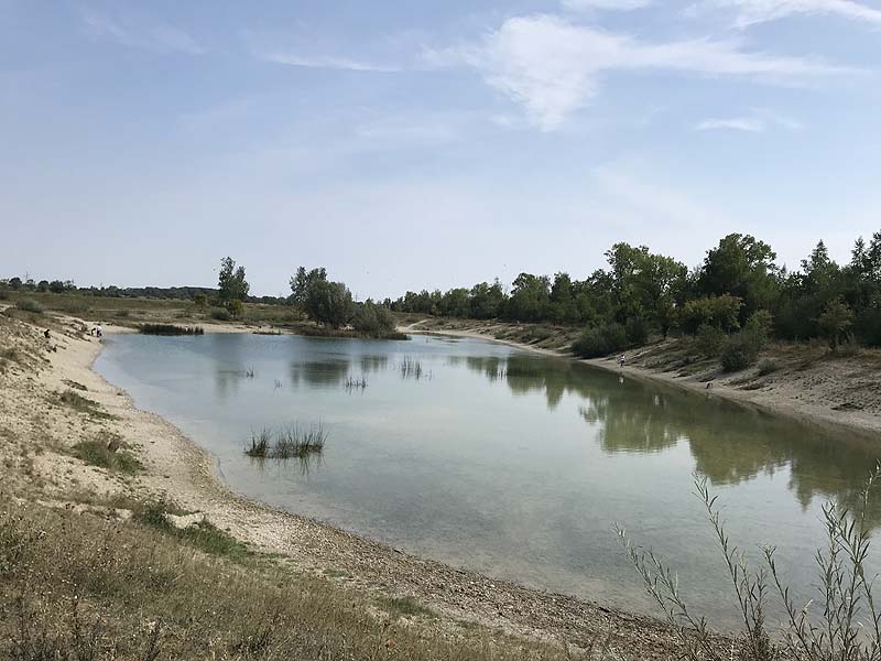 Hundesee in München-Untermenzing (Bayern)