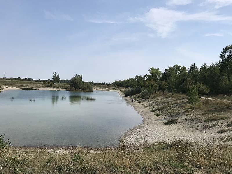 Hundesee in München-Untermenzing (Bayern)