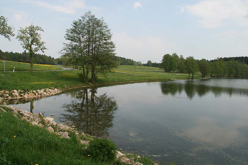 Großer Teich (Irfersgrün, Sachsen)