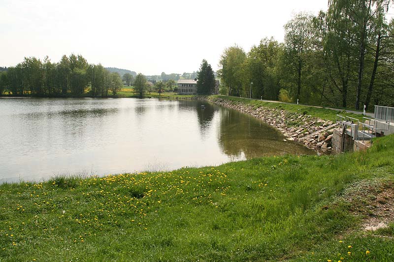 Großer Teich (Irfersgrün, Sachsen)