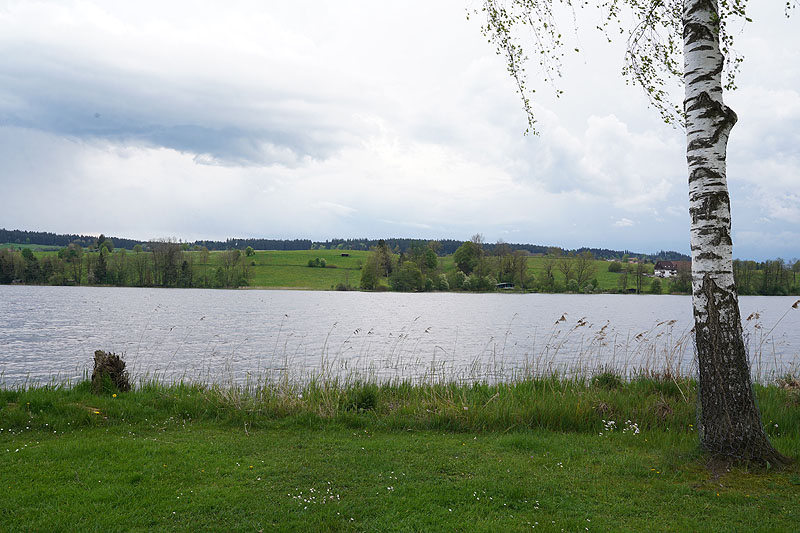 Der Badsee in Isny