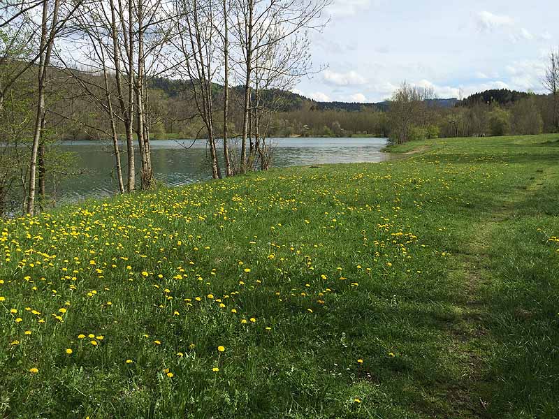 Baggersee (Isny, Baden-Württemberg)