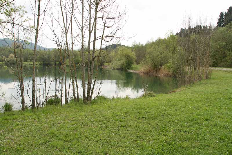 Baggersee (Isny, Baden-Württemberg)