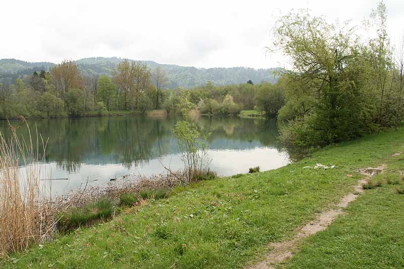 Baggersee (Isny, Baden-Württemberg)