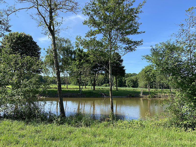 Der Badesee Karrodsee in Creglingen in Baden-Württemberg