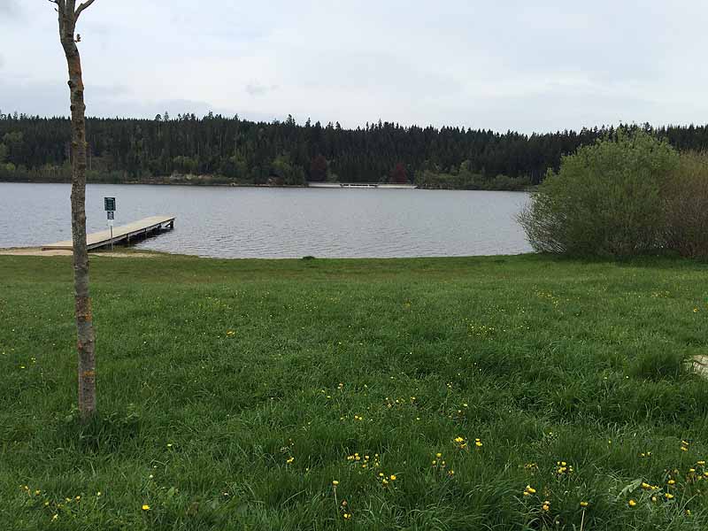 Kirnbergsee (Bräunlingen, Baden-Württemberg)