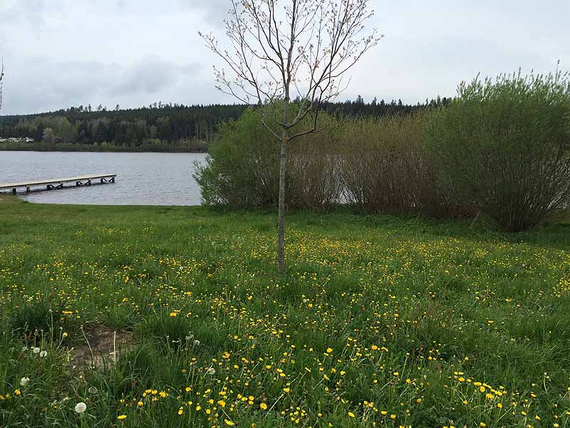 Kirnbergsee (Bräunlingen, Baden-Württemberg)