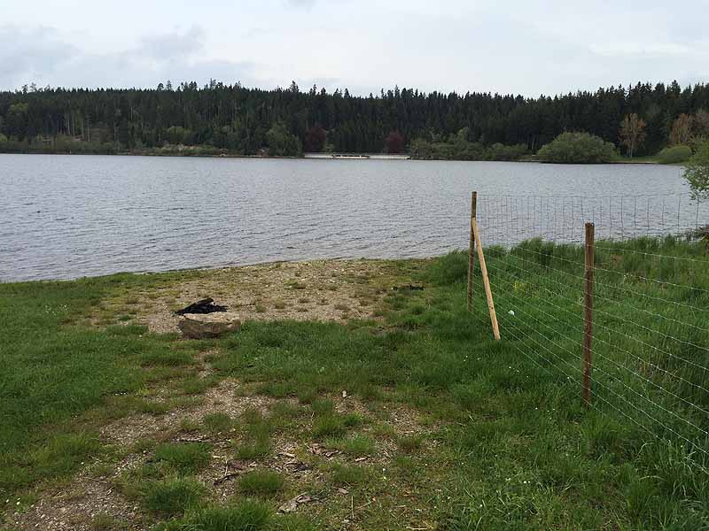 Kirnbergsee (Bräunlingen, Baden-Württemberg)