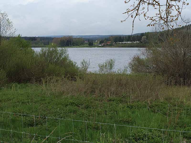 Kirnbergsee (Bräunlingen, Baden-Württemberg)