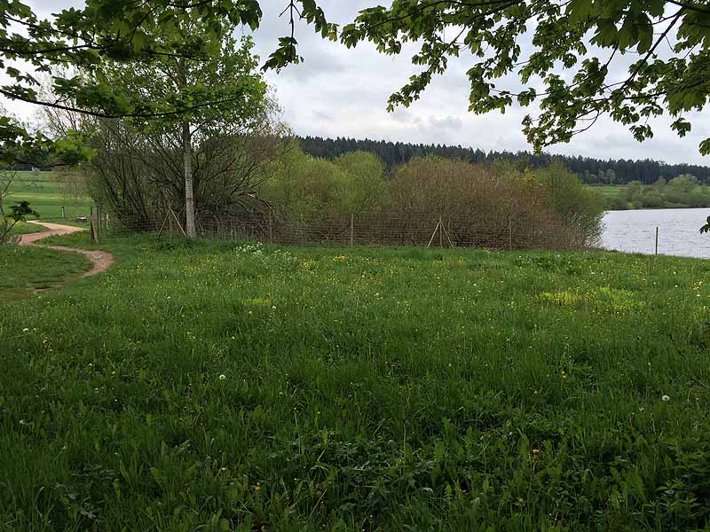 Kirnbergsee (Bräunlingen, Baden-Württemberg)