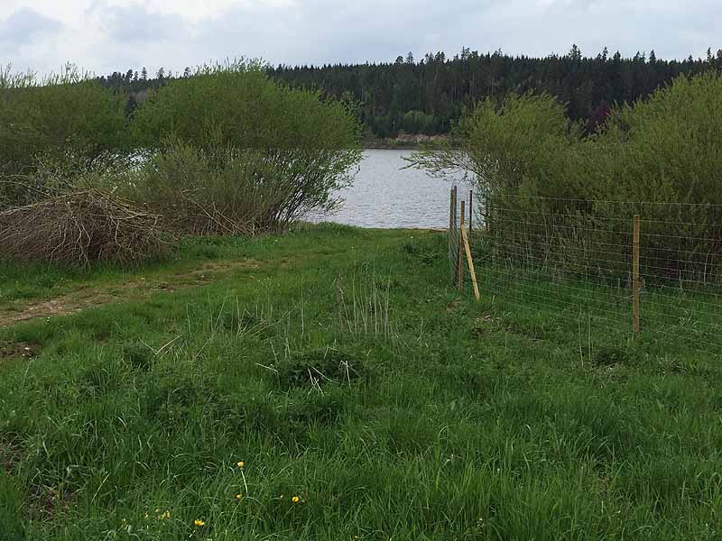 Kirnbergsee (Bräunlingen, Baden-Württemberg)