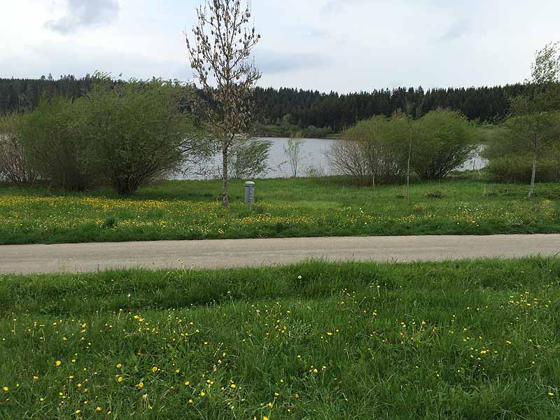 Kirnbergsee (Bräunlingen, Baden-Württemberg)