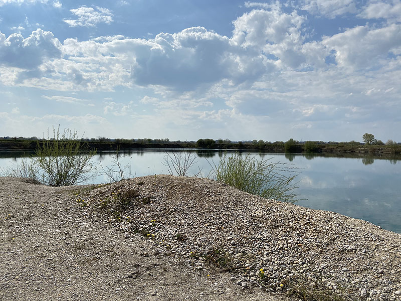 Kleiner Pullinger Weiher in Pulling bei Freising