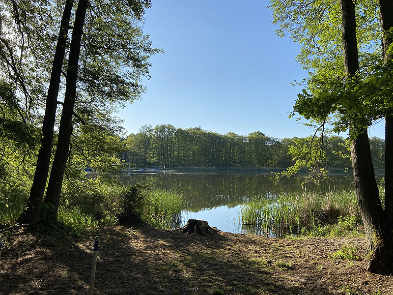 Kliestower See (Kliestow, Brandenburg)