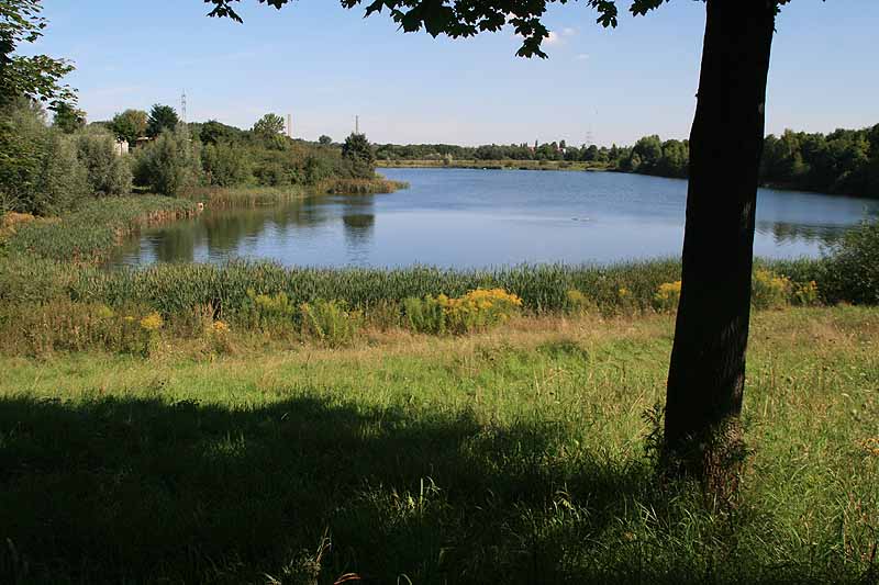 Naturbad Südwest (Knautkleeberg, Sachsen)