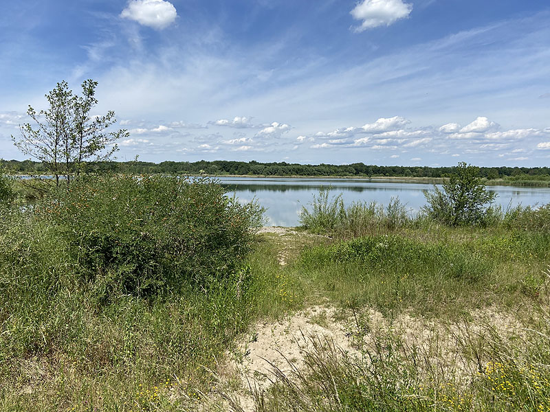 Der Badesee Kochheimer See in Neuburg an der Donau