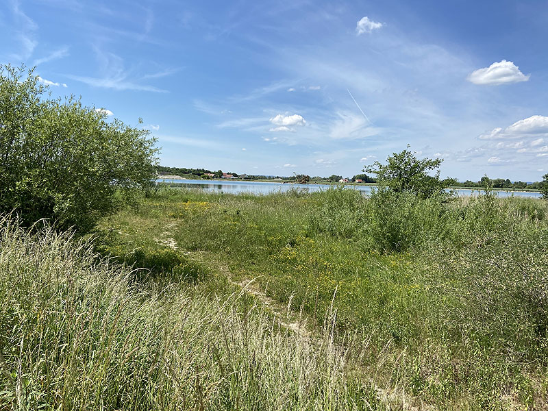 Der Badesee Kochheimer See in Neuburg an der Donau
