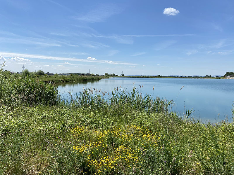 Der Badesee Kochheimer See in Neuburg an der Donau