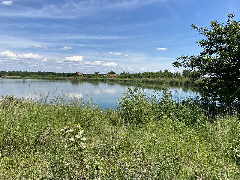 Der Badesee Kochheimer See in Neuburg an der Donau