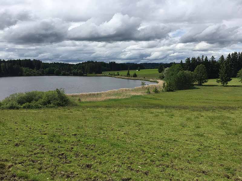 Kögelweiher (Bayern)