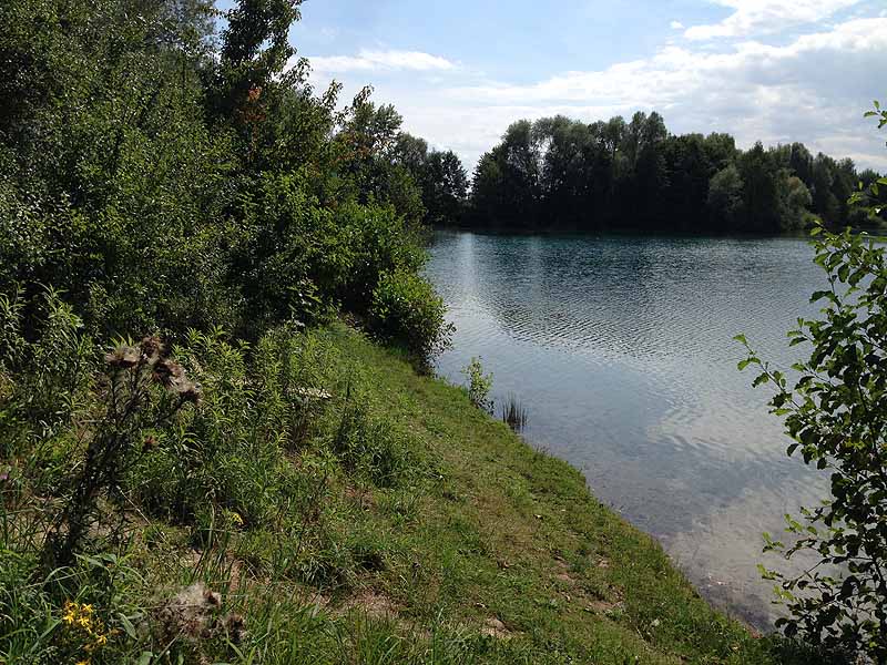 Kiesgrube Kehl-Odelshofen (Kehl-Kork, Baden-Württemberg)