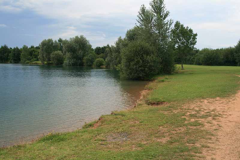 Kiesgrube Kehl-Odelshofen (Kehl-Kork, Baden-Württemberg)