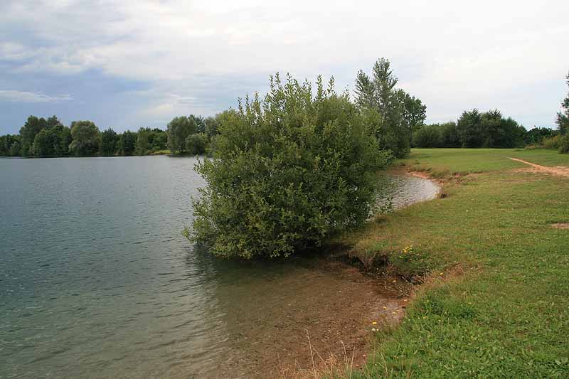 Kiesgrube Kehl-Odelshofen (Kehl-Kork, Baden-Württemberg)