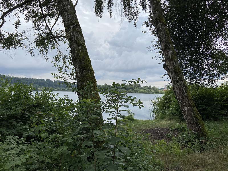 Baggersee (Krauchenwies, Baden-Württemberg)