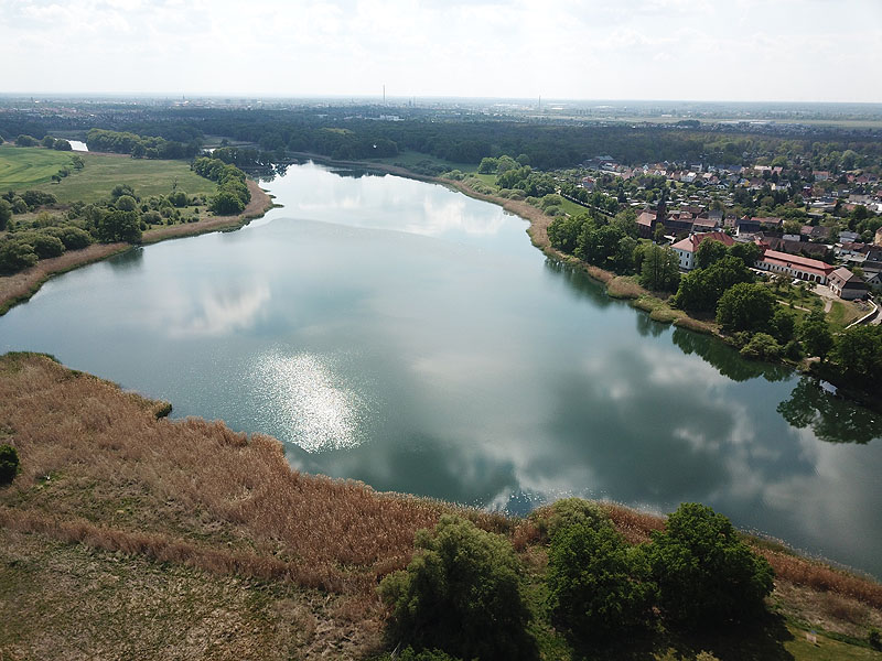 Kühnauer See (Großkühnau, Sachsen-Anhalt)