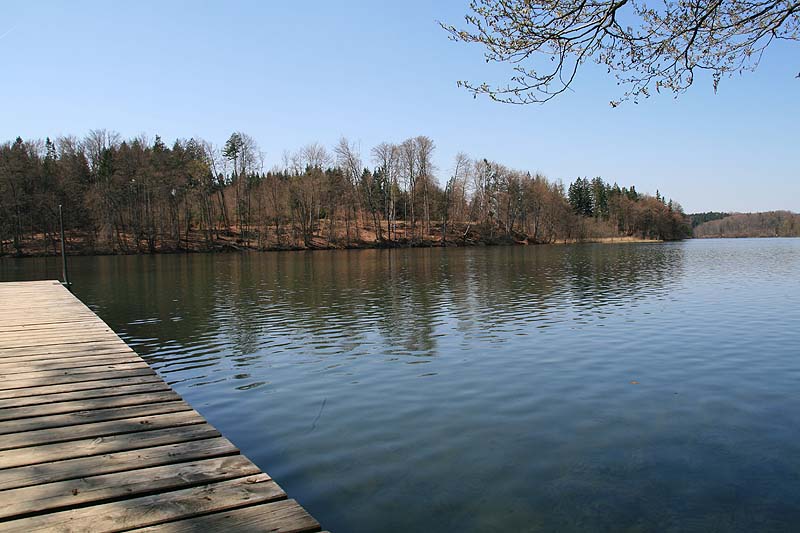 Langbürgener See (Bad Endorf/Langbürgen, Bayern)