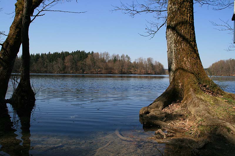 Langbürgener See (Bad Endorf/Langbürgen, Bayern)