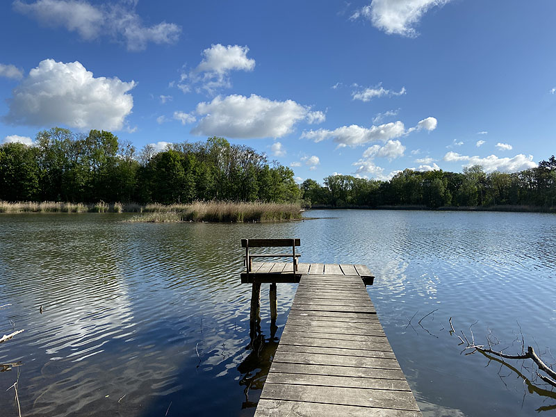 Langer See (Reichenow-Möglin, Brandenburg)