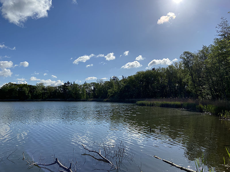 Langer See (Reichenow-Möglin, Brandenburg)