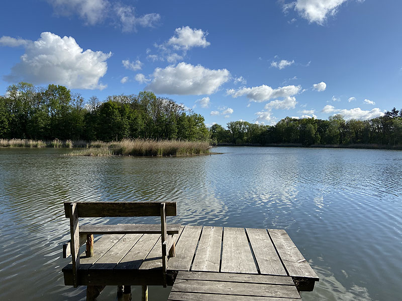 Langer See (Reichenow-Möglin, Brandenburg)