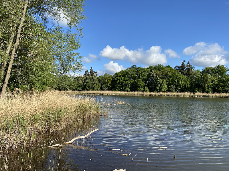 Langer See (Reichenow-Möglin, Brandenburg)