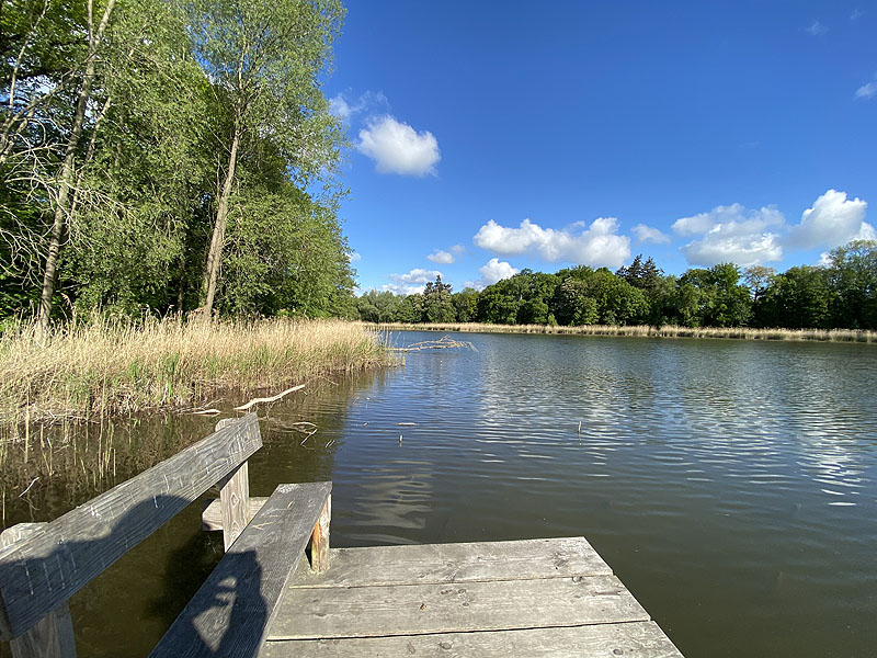 Langer See (Reichenow-Möglin, Brandenburg)