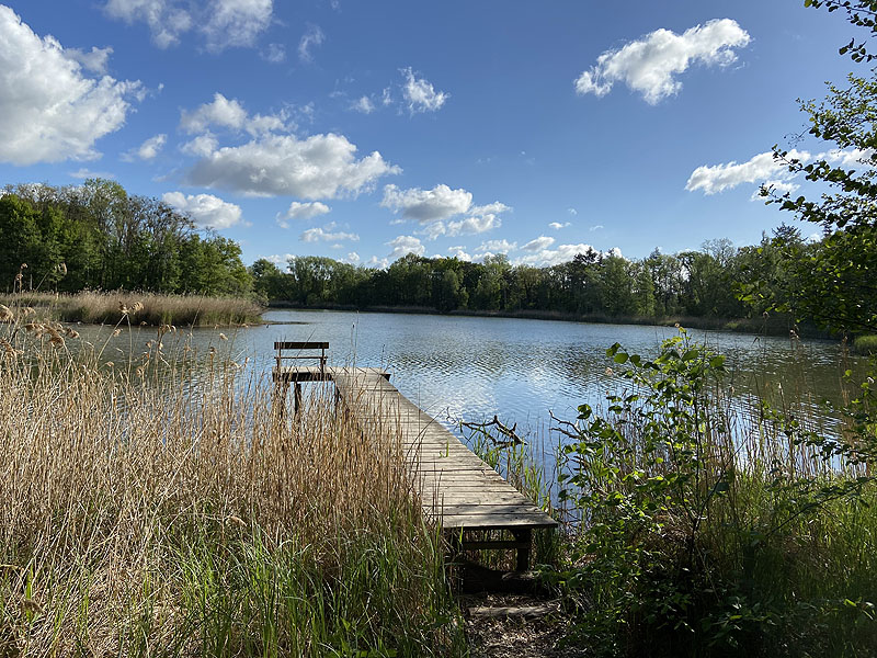 Langer See (Reichenow-Möglin, Brandenburg)