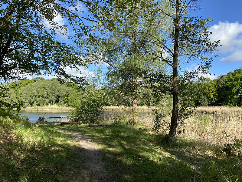 Langer See (Reichenow-Möglin, Brandenburg)