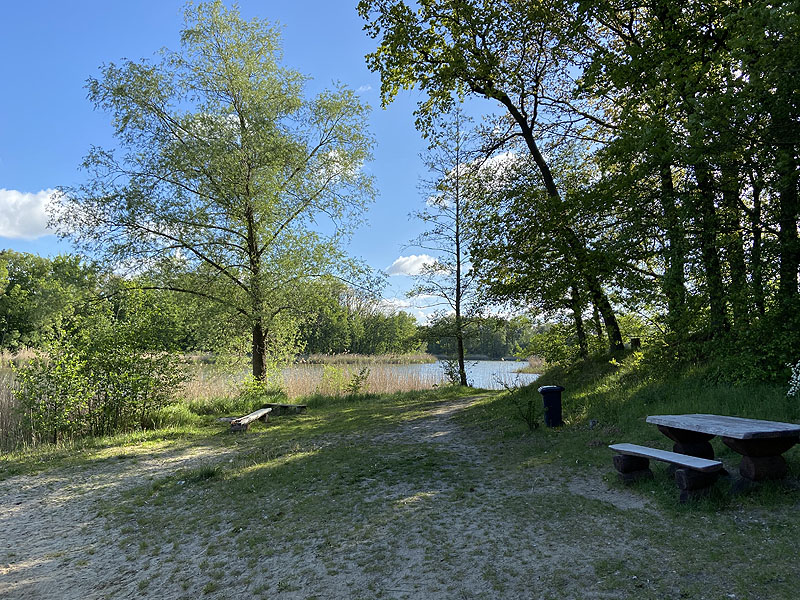 Langer See (Reichenow-Möglin, Brandenburg)