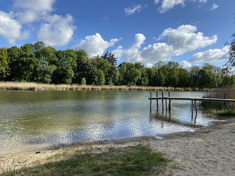 Langer See (Reichenow-Möglin, Brandenburg)