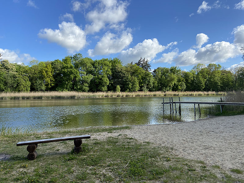 Langer See (Reichenow-Möglin, Brandenburg)