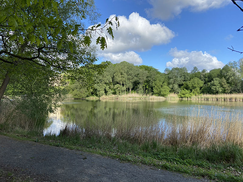 Langer See (Reichenow-Möglin, Brandenburg)