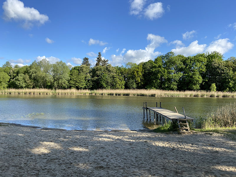 Langer See (Reichenow-Möglin, Brandenburg)