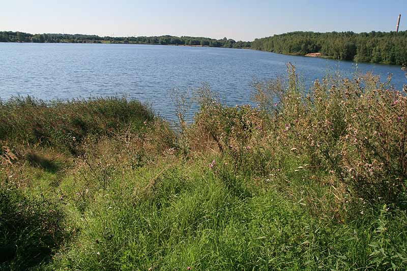 Kulkwitzer See (Leipzig-Grünau, Sachsen)